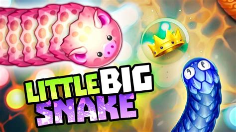 little big snake kostenlos online spielen